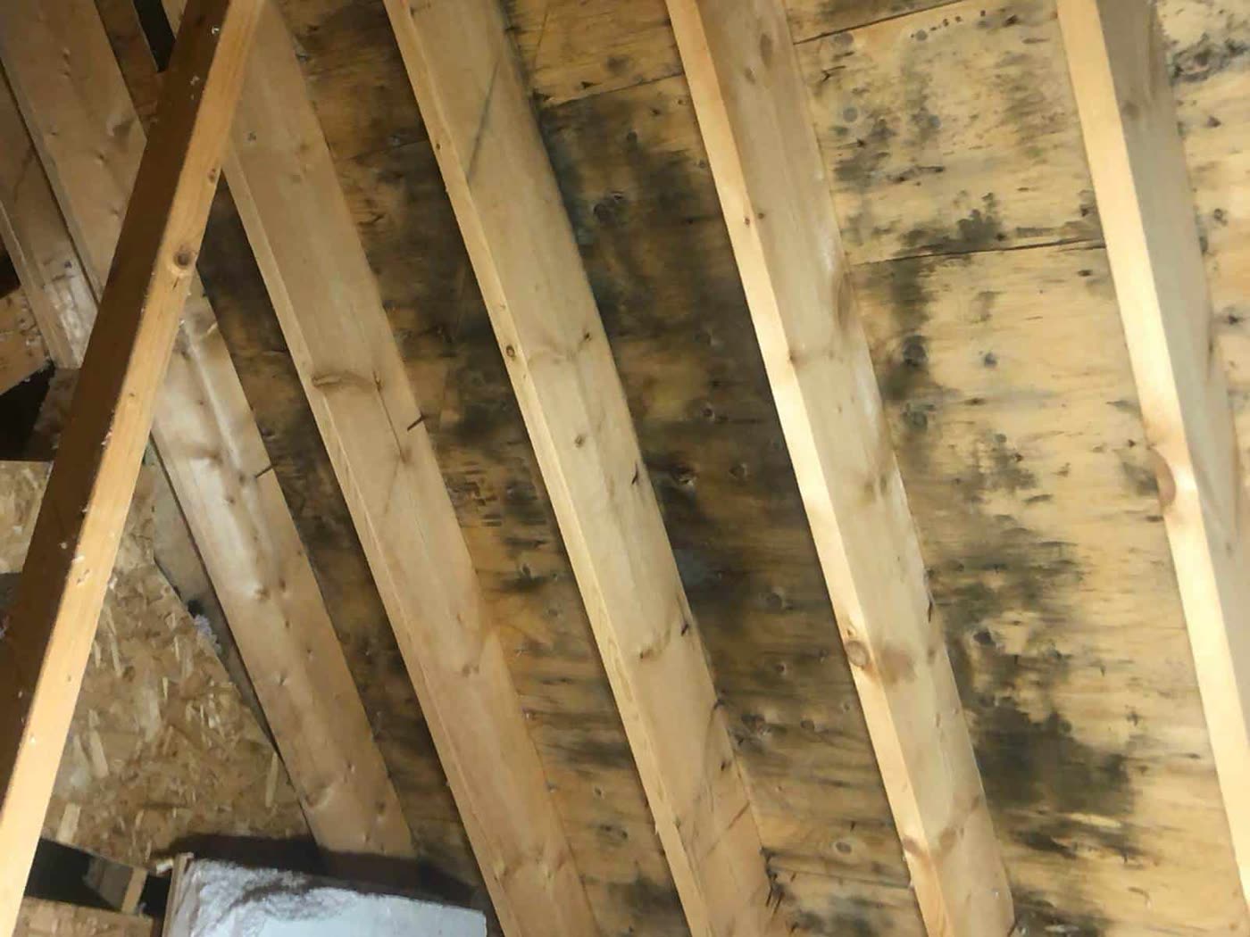 Thermal moisture scan inside a residential room